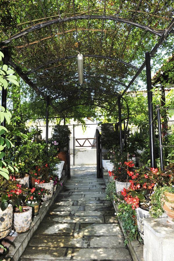 Chrissomalli Sofia Studios Skiathos Exterior foto